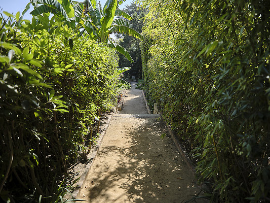 BUMMY SBSA 20220118 96 BUMMY SBSA 20220118 96