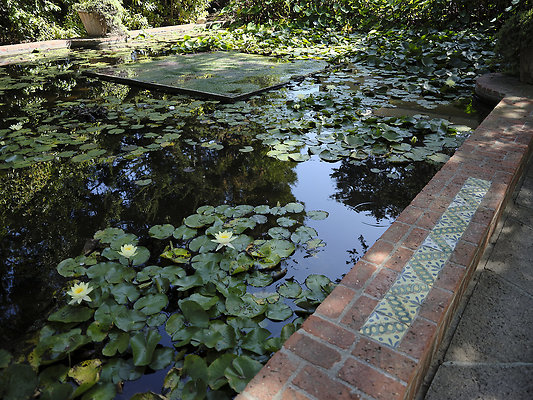 BUMMY SBSA 20220118 143 BUMMY SBSA 20220118 143