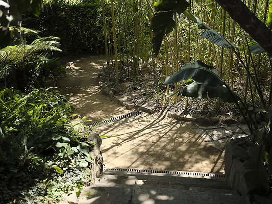 BUMMY SBSA 20220118 87 BUMMY SBSA 20220118 87