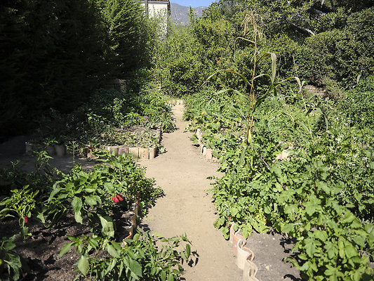 BUMMY SBSA 20220118 117 BUMMY SBSA 20220118 117