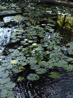 BUMMY SBSA 20220118 140 BUMMY SBSA 20220118 140