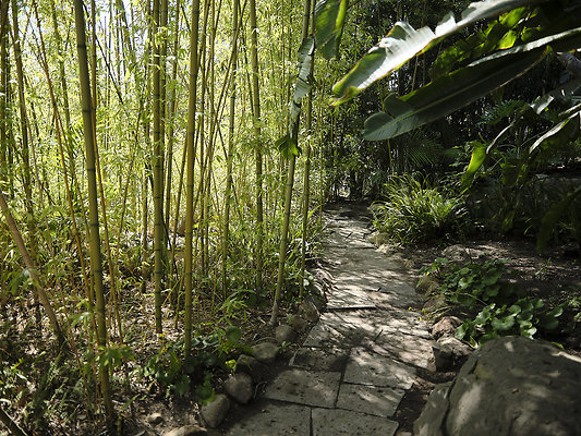 BUMMY SBSA 20220118 92 BUMMY SBSA 20220118 92