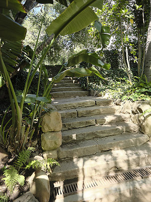 BUMMY SBSA 20220118 91 BUMMY SBSA 20220118 91