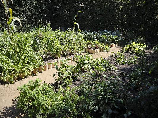 BUMMY SBSA 20220118 116 BUMMY SBSA 20220118 116