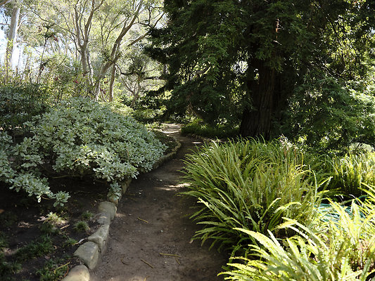 BUMMY SBSA 20220118 10 BUMMY SBSA 20220118 10