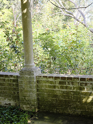 BUMMY SBSA 20220118 170 BUMMY SBSA 20220118 170