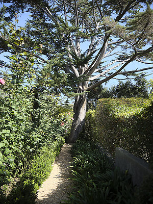 BUMMY SBSA 20220118 175 BUMMY SBSA 20220118 175