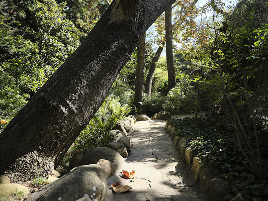 BUMMY SBSA 20220118 70 BUMMY SBSA 20220118 70