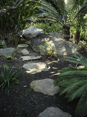 BUMMY SBSA 20220118 89 BUMMY SBSA 20220118 89