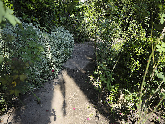 BUMMY SBSA 20220118 97 BUMMY SBSA 20220118 97