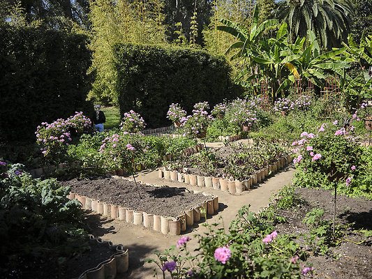 BUMMY SBSA 20220118 129 BUMMY SBSA 20220118 129