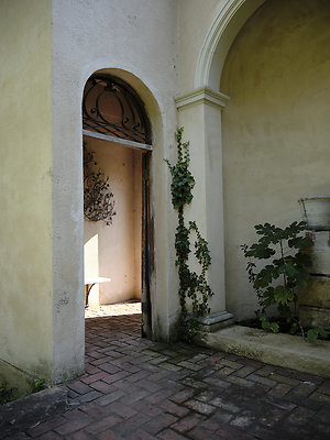 BUMMY SBSA 20220118 146 BUMMY SBSA 20220118 146