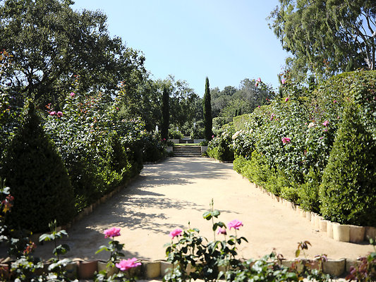 BUMMY SBSA 20220118 177 BUMMY SBSA 20220118 177