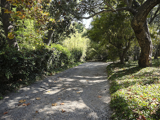 BUMMY SBSA 20220118 82 BUMMY SBSA 20220118 82