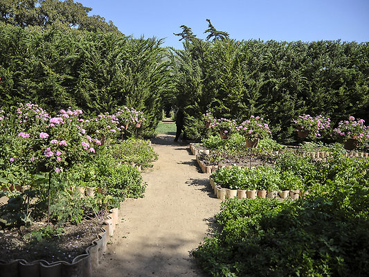 BUMMY SBSA 20220118 131 BUMMY SBSA 20220118 131