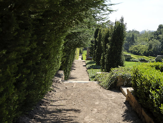 BUMMY SBSA 20220118 106 BUMMY SBSA 20220118 106