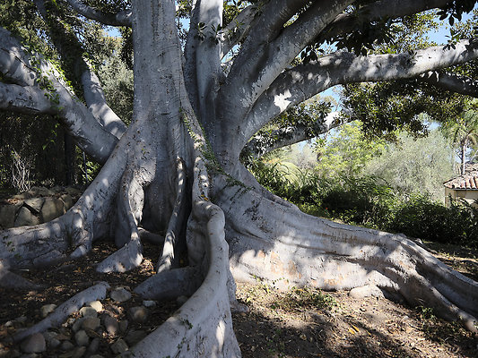 BUMMY SBSA 20220118 112 BUMMY SBSA 20220118 112