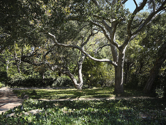 BUMMY SBSA 20220118 63 BUMMY SBSA 20220118 63