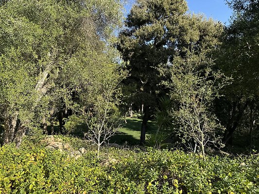 VAL VERDE current read 122024-107 VAL VERDE current read 122024-107