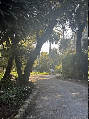 VAL VERDE current read 122024-23 VAL VERDE current read 122024-23