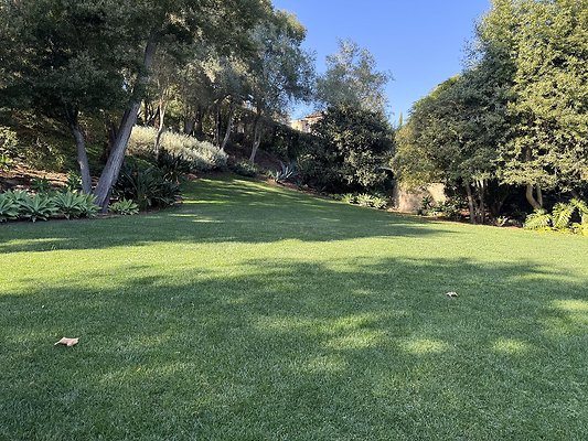 VAL VERDE current read 122024-117 VAL VERDE current read 122024-117