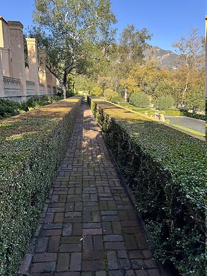 VAL VERDE current read 122024-153 VAL VERDE current read 122024-153