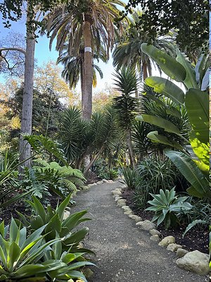 VAL VERDE current read 122024-129 VAL VERDE current read 122024-129