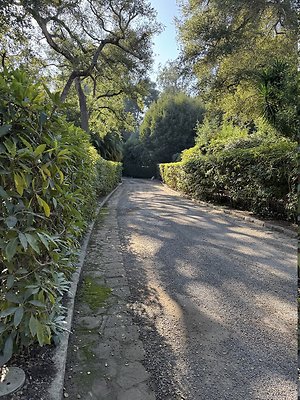 VAL VERDE current read 122024-83 VAL VERDE current read 122024-83