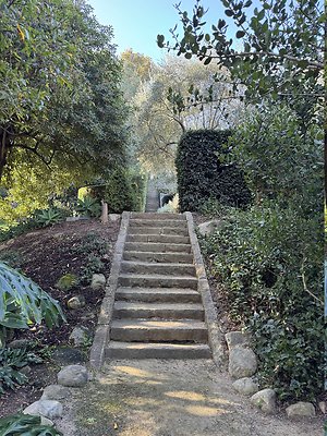 VAL VERDE current read 122024-124 VAL VERDE current read 122024-124