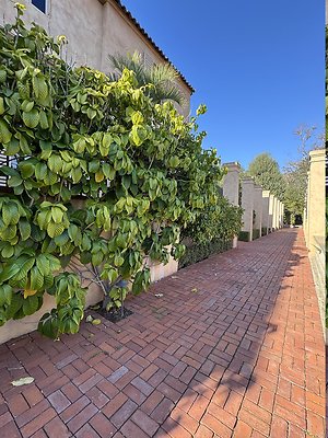 VAL VERDE current read 122024-30 VAL VERDE current read 122024-30