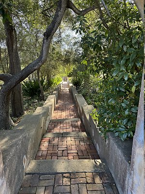 VAL VERDE current read 122024-150 VAL VERDE current read 122024-150