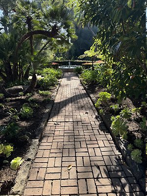 VAL VERDE current read 122024-149 VAL VERDE current read 122024-149