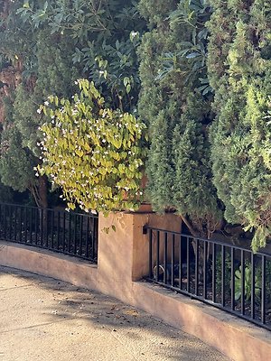 VAL VERDE current read 122024-64 VAL VERDE current read 122024-64