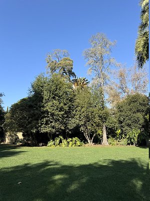 VAL VERDE current read 122024-118 VAL VERDE current read 122024-118