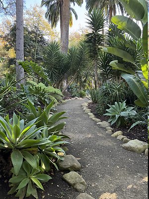 VAL VERDE current read 122024-131 VAL VERDE current read 122024-131