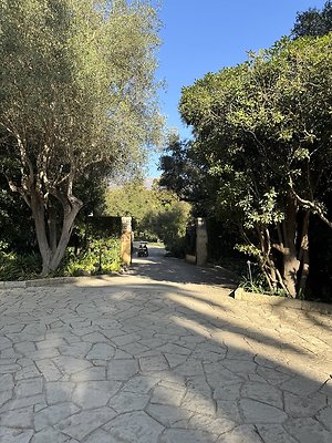 VAL VERDE current read 122024-13 VAL VERDE current read 122024-13