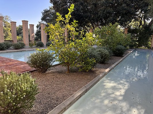 VAL VERDE current read 122024-164 VAL VERDE current read 122024-164