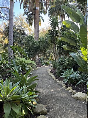 VAL VERDE current read 122024-130 VAL VERDE current read 122024-130