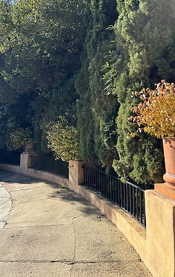 VAL VERDE current read 122024-63 VAL VERDE current read 122024-63