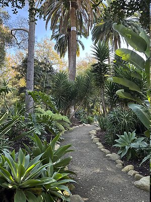 VAL VERDE current read 122024-128 VAL VERDE current read 122024-128