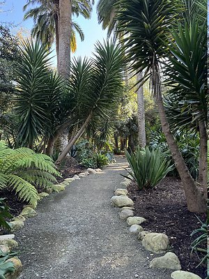 VAL VERDE current read 122024-127 VAL VERDE current read 122024-127