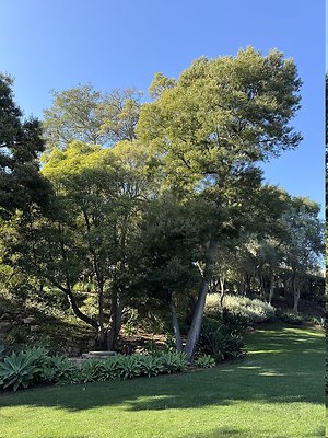 VAL VERDE current read 122024-119 VAL VERDE current read 122024-119