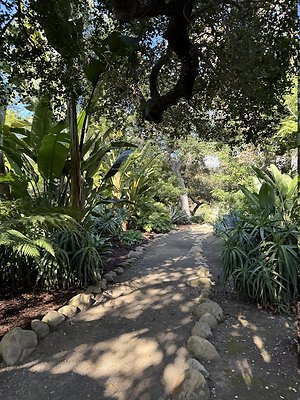 VAL VERDE current read 122024-125 VAL VERDE current read 122024-125