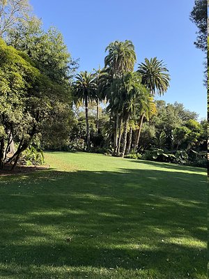 VAL VERDE current read 122024-111 VAL VERDE current read 122024-111