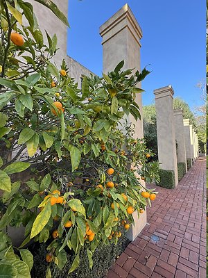 VAL VERDE current read 122024-27 VAL VERDE current read 122024-27