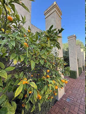 VAL VERDE current read 122024-26 VAL VERDE current read 122024-26