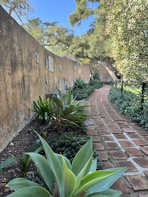 VAL VERDE current read 122024-177 VAL VERDE current read 122024-177