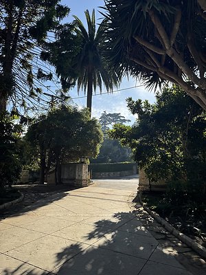 VAL VERDE current read 122024-9 VAL VERDE current read 122024-9