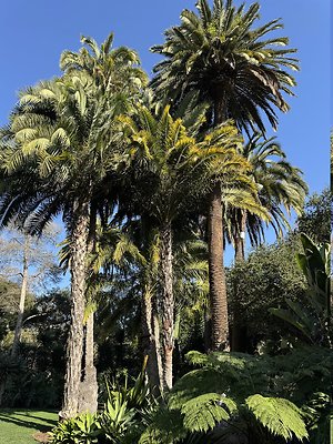 VAL VERDE current read 122024-120 VAL VERDE current read 122024-120