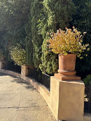 VAL VERDE current read 122024-62 VAL VERDE current read 122024-62